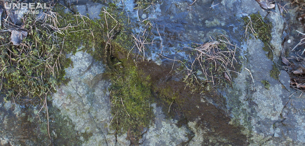 Unreal Engine 4 графика вода мох камень грязь фото