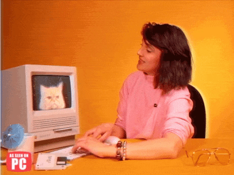 computer-cat-gif